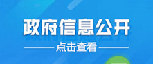 政府信息公開